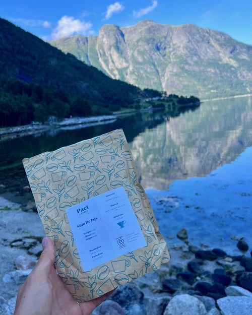 pact coffee infront of a mountain